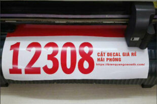 cat chu decal gia re